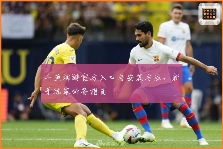 斗鱼端游官方入口与安装方法，新手玩家必备指南