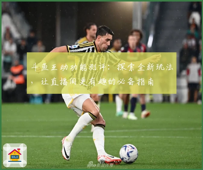 斗鱼互动功能测评：探索全新玩法，让直播间更有趣的必备指南