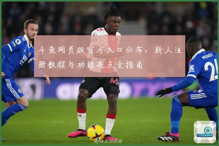 斗鱼网页版官方入口公布，新人注册教程与功能亮点全指南
