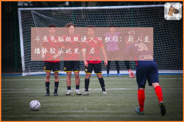 斗鱼电脑版极速入口教程：新人直播体验从这里开启