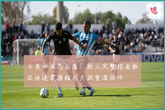 斗鱼回放怎么看？新人完整指南教你快速掌握精彩片段重温技巧