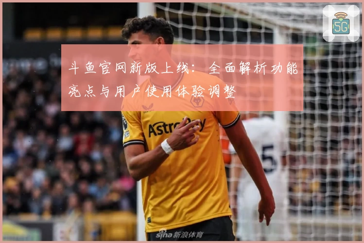 斗鱼官网新版上线：全面解析功能亮点与用户使用体验调整