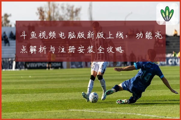 斗鱼视频电脑版新版上线，功能亮点解析与注册安装全攻略