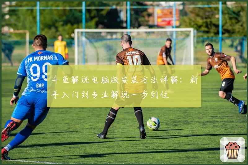 斗鱼解说电脑版安装方法详解：新手入门到专业解说一步到位