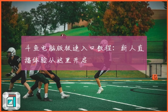 斗鱼电脑版极速入口教程：新人直播体验从这里开启