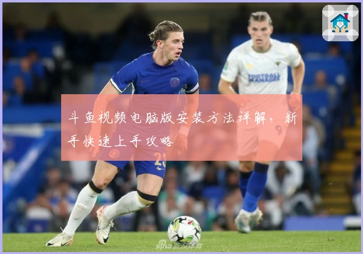 斗鱼视频电脑版安装方法详解，新手快速上手攻略