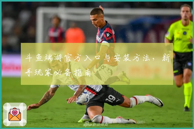 斗鱼端游官方入口与安装方法，新手玩家必备指南